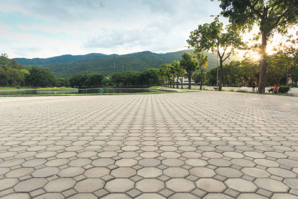 Best Custom Driveway Pavers  in Lawrence, KS